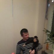  -,   , 37 ,   ,   
