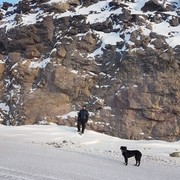 ���������� ���������, ���� ������� ������, 40 ���, ������������ ��� ������, ����� � ���������, c�������� ���������