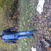  ,   Rokki007, 36 ,   