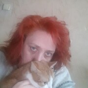  ,   , 48 ,  