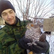 ���������� ������, ���� ������� ���, 32 ����, ������������ ��� ������, ����� � ���������, c�������� ���������