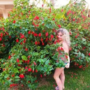 ���������� ����, ���� ������� ������, 44 ����, ������������ ��� ����� � ���������, c�������� ���������