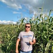 ���������� ������������, ���� ������� ����, 53 ����, ������������ ��� ������, ����� � ���������, c�������� ���������