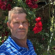  ,   , 55 ,     