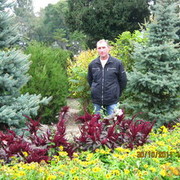 ���������� ��������, ���� ������� ������555, 56 ���, ������������ ��� ������, ����� � ���������, c�������� ���������