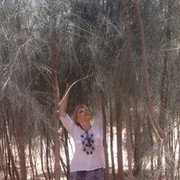  ,   , 48 ,   ,   , c , 