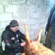 ���������� �����������, ���� ������� �������, 38 ���, ������������ ��� ������, ����� � ���������, c�������� ���������