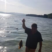  ,   , 65 ,   ,   
