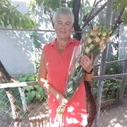 ���������� �����������, ���� ������� �������, 58 ���, ������������ ��� c�������� ���������, ���������