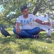  -,   , 41 ,   ,   