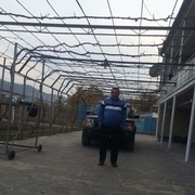 ���������� ����, ���� ������� Rafo, 50 ���, ������������ ��� ������, ����� � ���������, c�������� ���������