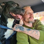 ���������� ��������, ���� ������� Vadim, 38 ���, ������������ ��� ������, ����� � ���������, c�������� ���������, ���������