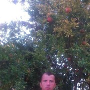  ,   , 44 ,   