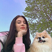 ���������� ���������, ����