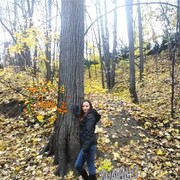  ,   , 33 ,     , c 