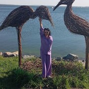  ,   , 53 ,   ,   