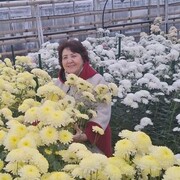 ���������� ��������, ���� ������� �������, 65 ���, ������������ ��� ������, ����� � ���������, c�������� ���������