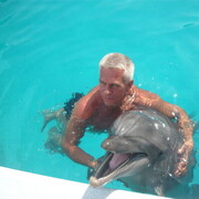 ���������� ������, ���� ������� ��������, 65 ���, ������������ ��� ������, ����� � ���������, c�������� ���������, ���������