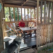 ���������� �����������, ���� ������� ������, 46 ���, ������������ ��� ������, ����� � ���������, c�������� ���������