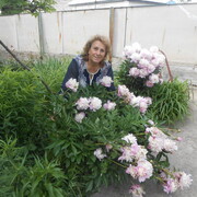  ,   , 65 ,   ,   
