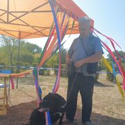 ���������� ��������, ������� �������, 64