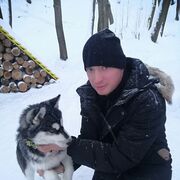 ���������� ����������, ���� ������� �����, 38 ���, ������������ ��� ����� � ���������, c�������� ���������