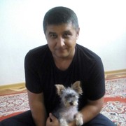  ,  Lion, 47