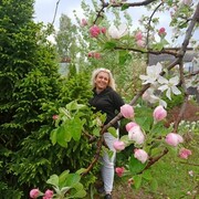 ���������� ��������, ���� ������� �����, 47 ���, ������������ ��� ����� � ���������, c�������� ���������