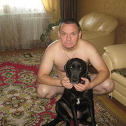  ,   , 46 ,   