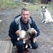  -,   , 48 ,   ,   , c 