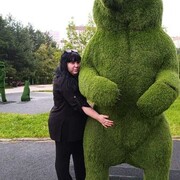 ���������� �����, ���� ������� Ksenia, 39 ���, ������������ ��� ����� � ���������, c�������� ���������