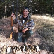 ���������� ������-��-����, ���� ������� ������, 36 ���, ������������ ��� ������, ����� � ���������