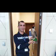 ���������� ����, ���� ������� Movlud, 52 ����, ������������ ��� ������, ����� � ���������, c�������� ���������