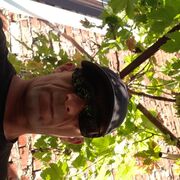  ,   SAKO, 40 ,   ,   