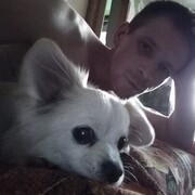 ���������� �����, ���� ������� ����, 32 ����, ������������ ��� ������, ����� � ���������, c�������� ���������