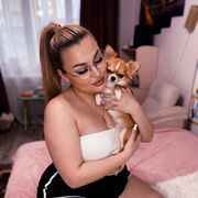 ���������� ���������, ���������