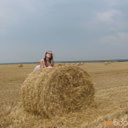 ���������� �������, ���� ������� Sofi, 51 ���, ������������ ��� ������, ����� � ���������, c�������� ���������