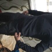  ,  , 36