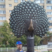 ���������� �������, ���� ������� ����, 54 ����, ������������ ��� ����� � ���������, c�������� ���������