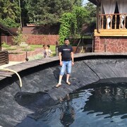  ,   , 43 ,   ,   