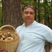 ���������� ����, ���� ������� �������, 53 ����, ������������ ��� ����� � ���������, c�������� ���������