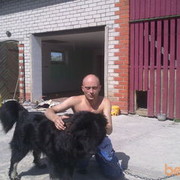 ���������� ����, ���� ������� �������, 53 ����, ������������ ��� ������