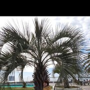  ,   , 68 ,   ,   , c , 