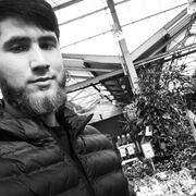 ���������� �����-���������, ���� ����� ��������, 23 ����, ������������ ��� ������, ����� � ���������