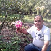  -,   , 52 ,     , c , 