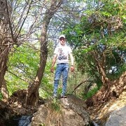 ���������� ���������, ���� ������� ������, 33 ����, ������������ ��� ������, ����� � ���������