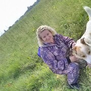  ,   , 54 ,  