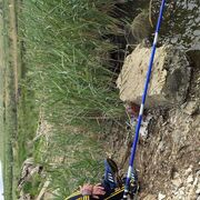 ���������� ������������, ���� ������� �����, 53 ����, ������������ ��� ������, ����� � ���������, ���������