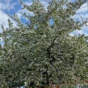  ,  , 22