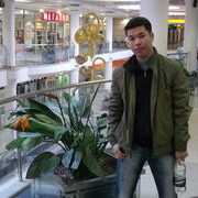  ,   Dinar, 41 ,   ,   , c 
